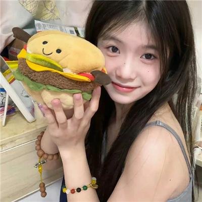 登陆月球
